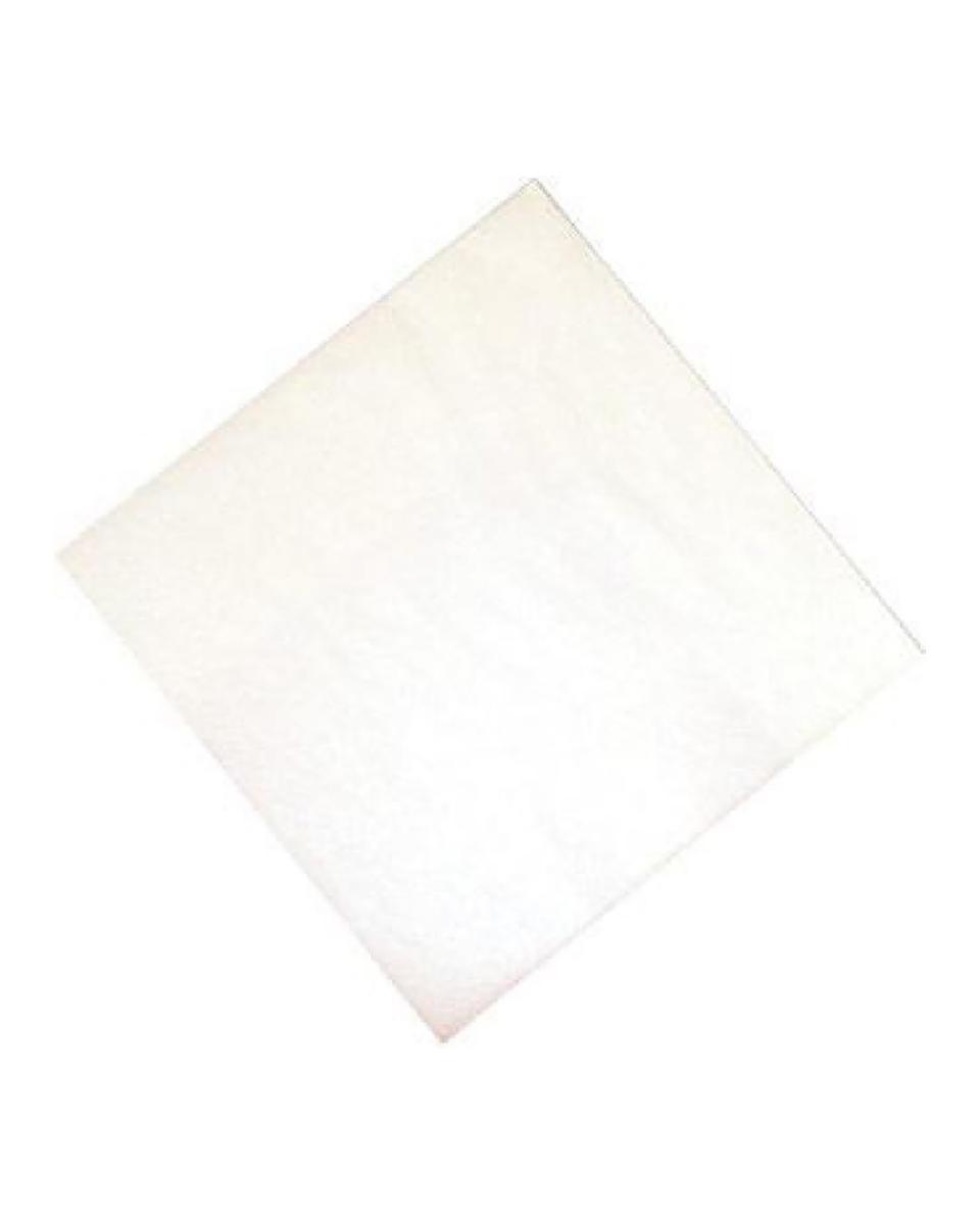 Serviettes - 1500 pièces - Blanc - 33 x 33 CM - Papier - Fasana - CK874