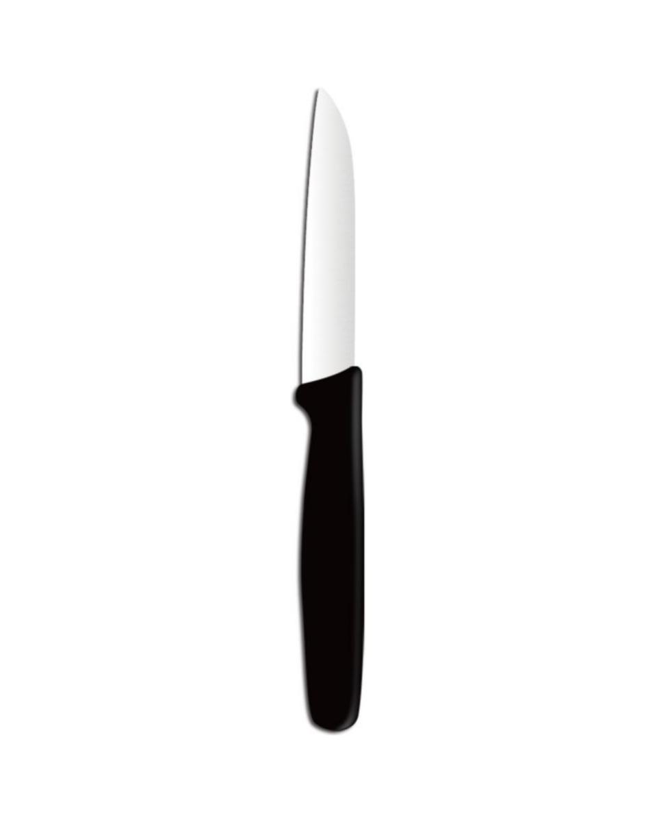Couteau à éplucher - Inox polypropylène - H 2 X 1 X 18 CM - Hendi - 841105