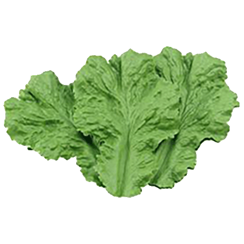 Vert décoratif