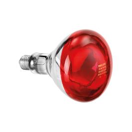 Lampe infrarouge - E27 - Rouge - Bartscher - 114271