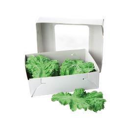 Decoratiegroen - 13 CM - 0.5 KG - 18.5 CM - - Groen - 828010