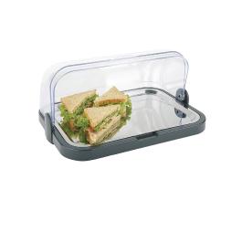 Gekoeld buffet display - H 20.5 x 44 x 32 CM - RVS - APS - CB793