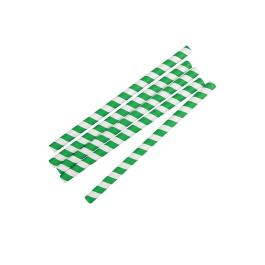 Wegwerp smoothierietjes - 250 stuks - Groen/Wit - Papier - Fiesta Green - FB148