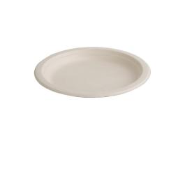 Wegwerp borden - 50 stuks - H 2.1 CM - Fiesta Green - FC545
