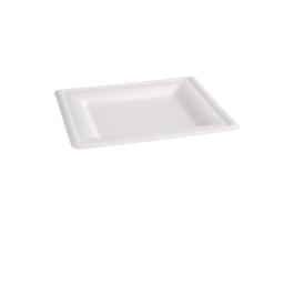 Wegwerp borden - 50 stuks - H 1.4 x 15.9 CM - Fiesta Green - FC518