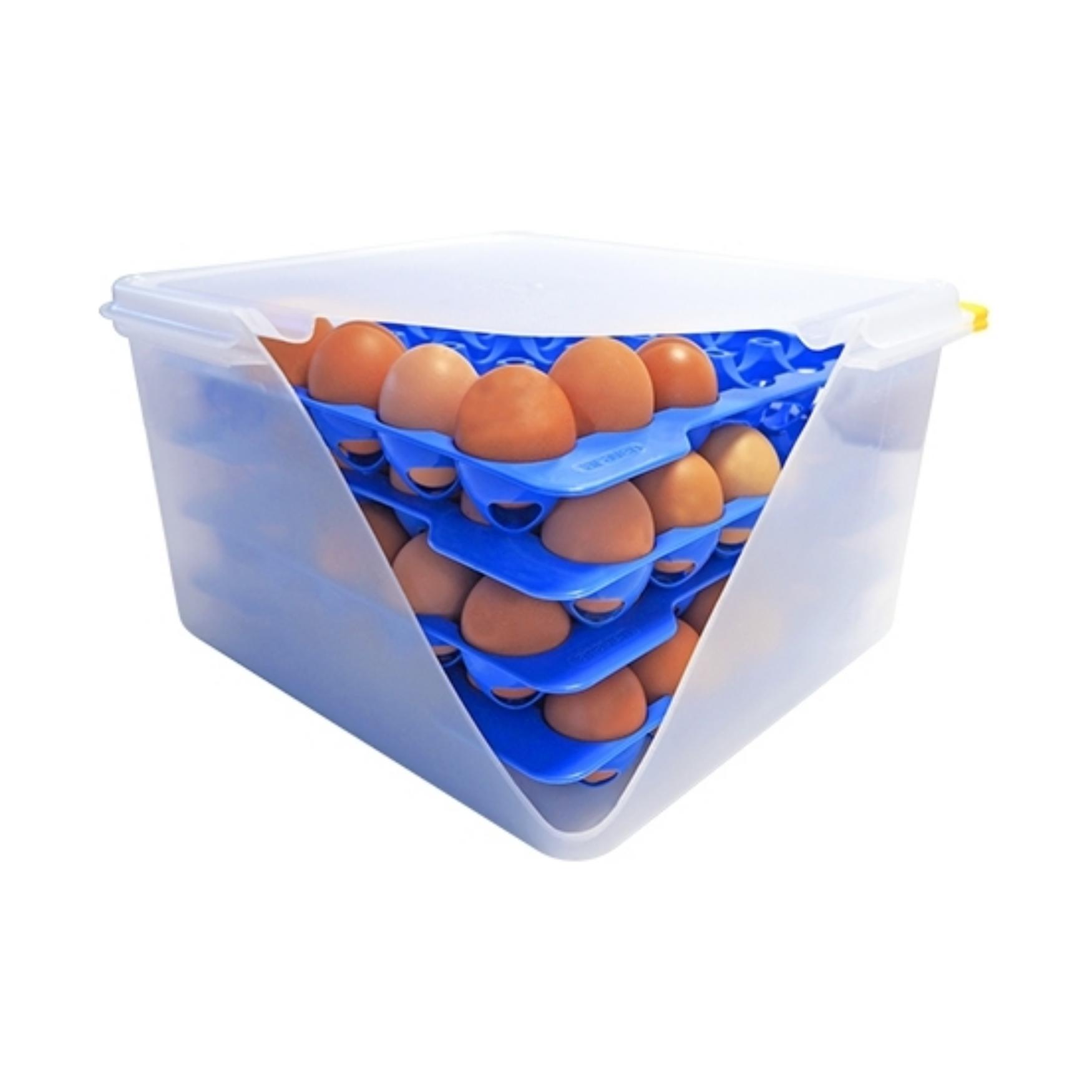 ProductIMG