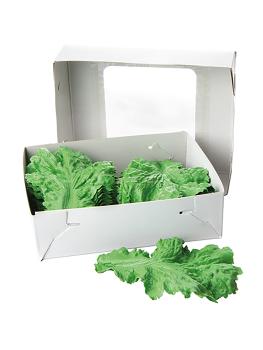 Décoration verte - 13 CM - 0,5 KG - 18,5 CM - - Vert - 828010