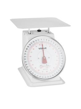 Balance Plate-Forme - Analogique - H 24,35 x 29,5 x 25,3 CM - Acier Inoxydable - Poste de Pesage - F175