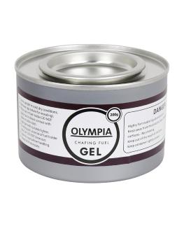 Pâte à combustible - 12 pièces - Olympia - CE241