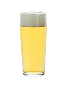 Verre à bière - 19 CL - 12 pièces - Mammouth - Budgetline - 136158