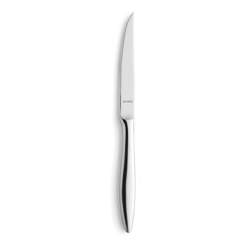 Steakmes - 12 Stuks - Tendence Mirror Hoogglans - 9090 - Amefa