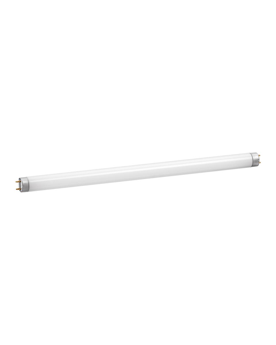 Tube néon - 300321- Bartscher - 300325