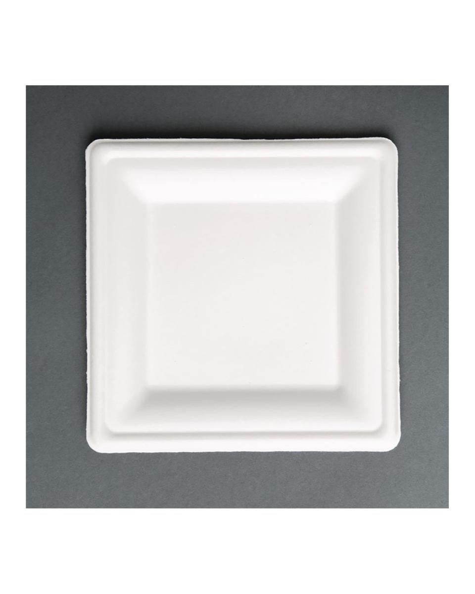 Assiettes jetables - 50 pièces - H 1,5 x 20,4 CM - Vert Fiesta - FC519