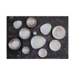 Assiette - 4 pièces - Bleu - Porcelaine - Ø 30.8 x H 3 CM - Olympia FU176 €108.99 Assiettes