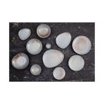 Assiette - 6 pièces - Bleu - Porcelaine - Ø 18 x H 2 CM - Olympia FU172 €71.99 Assiettes