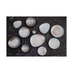 Assiette - 4 pièces - Bleu - Porcelaine - Ø 27.5 x H 3 CM - Olympia FU170 €99.99 Assiettes