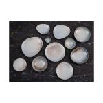 Assiette - 4 pièces - Bleu - Porcelaine - Ø 27.5 x H 3 CM - Olympia FU170 €99.99 Assiettes