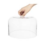 Stolp - Glas - Olympia HW799 €27.45 Overige
