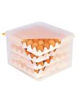 Boîte de conservation des œufs - H 20 x 32,5 x 35,4 CM - 1 663 KG - Transparent - 19 Litre - -40°C / +90°C - Hermétique Verrouillable - Araven - 962110 E962110 €26.00 Bacs alimentaires