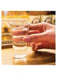Verre à liqueur - 6 CL - 12 pièces - Ø 5,3 x H 8,7 CM - Verre - Olympia - GF920 GF920 €6.19 Verrerie