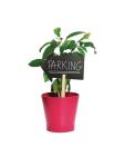 Ardoise - Flèche - H 67 x 50 x 2 CM - Polypropylène - Securit - CK325 CK325 €24.49 Présentation