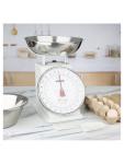 Balance - Analogique - Acier inoxydable - Station de pesée - F174 F174 €43.08 Échelles analogiques