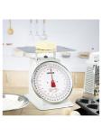 Balance Plate-Forme - Analogique - H 24,35 x 29,5 x 25,3 CM - Acier Inoxydable - Poste de Pesage - F175 F175 €54.03 Échelles analogiques