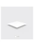 Couvercle contenant jetable - 500 pièces - Ø 11,5 x H 1 CM - Cpla - Vegware - GF048 GF048 €101.99 Overige