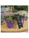 Etiquettes ardoise picots de rechange - 10 pièces - H 6 x 4 x 1,3 CM - Securit - CL312 CL312 €13.59 Overige