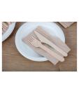 Couteaux - Dégradables - 100 pièces - 16,5 CM - Bois de Bouleau - Vert Fiesta - CD902 CD902 €2.99 Couverts