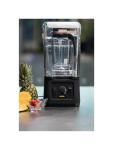 Barblender - Capot muet - 2,5 Litre - H 54,8 x 25,3 x 23,6 CM - 230 V - Buffalo - DR825 DR825 €287.37 Mélangeurs