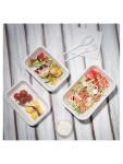 Barquettes alimentaires jetables - 50 pièces - H 2,6 x 11,8 CM - Bagasse - Fiesta Green - FC528 FC528 €4.29 Emballage jetable