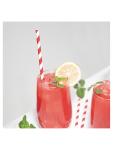 Pailles Jetables - Rouge/Blanc - Vert Fiesta - FP442 FP442 €4.89 Pailles jetables