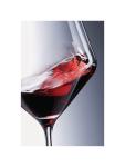 Verre à vin - 54 CL - 6 pièces - Ø 9,2 x H 24,4 CM - Schott Zwiesel - GD900 GD900 €56.79 Verrerie