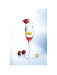Verre à champagne - 16 CL - 24 pièces - Ø 5,5 x H 22,3 CM - Verre - Arcoroc - GD967 GD967 €131.85 Verrerie