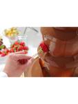 Fontaine à chocolat - 230 V - Hendi - 274101 274101 €46.80 Chauffe-sauce / chocolat