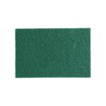 Tampons à récurer - 10 pièces - Vert - Polyester - Jantex HX234 €1.99 Éponges et chamois