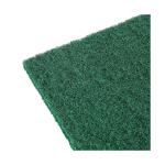 Tampons à récurer - 10 pièces - Vert - Polyester - Jantex HX234 €1.99 Éponges et chamois