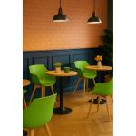 Chaise Alexia - Vert clair / Aspect bois - Synthétique - G-Line 81301 €44.95 Chaises en bois