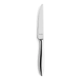 Tafelmes - 12 Stuks - Tendence Mirror Hoogglans - 9090 - Amefa